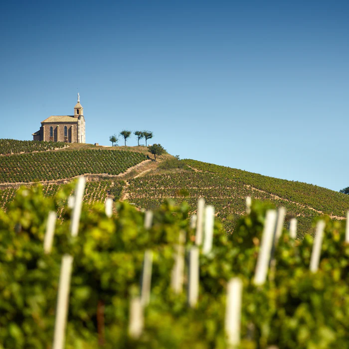1989 Musigny Grand Cru, Burgund, Frankreich - Image 5