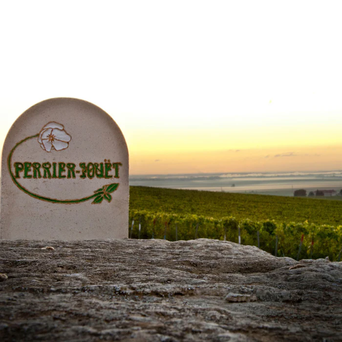 2016 Perrier-Jouët Belle Epoque mit 2 Gläsern - Image 5