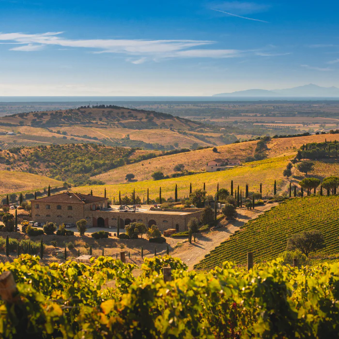 2019 Bio Il Blu, Toskana, Italien - Image 4