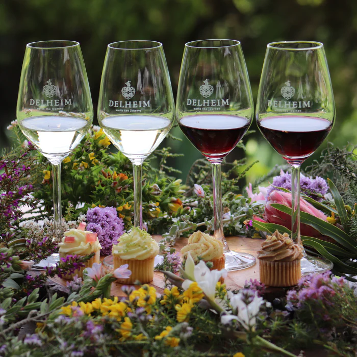 Chenin Blanc, Stellenbosch, Südafrika - Image 2