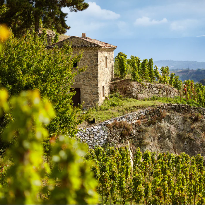 2023 Crozes-Hermitage Les Launes, Rhône, Frankreich - Image 3