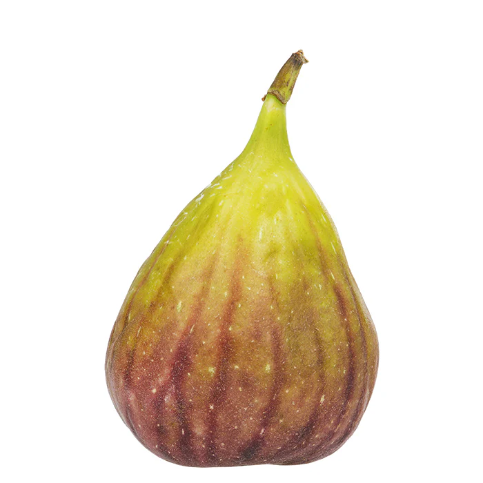 Feigen