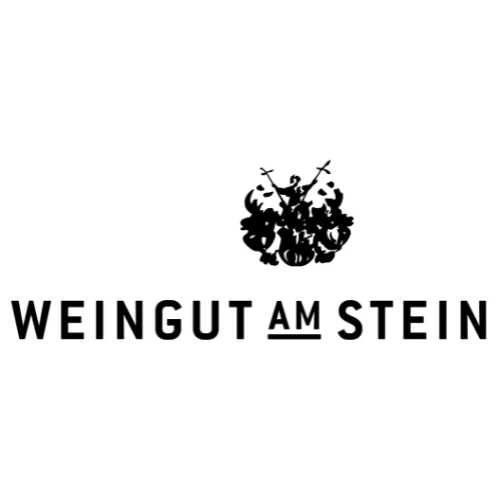 10.06.26 | Beetle Chef's Table Veggie Power mit Weingut am Stein - Image 3