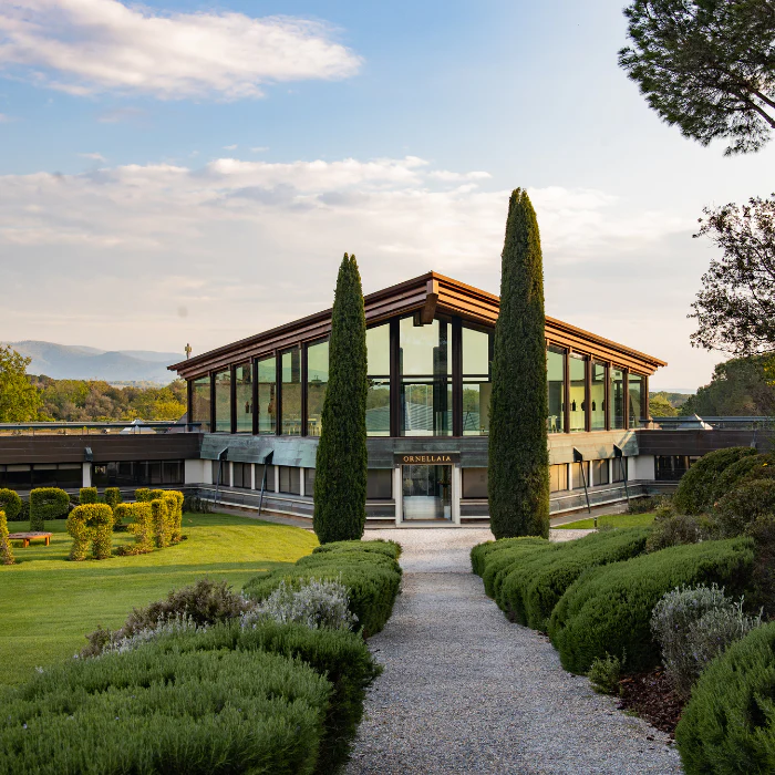 Ornellaia Eligo Riserva Grappa - Image 3