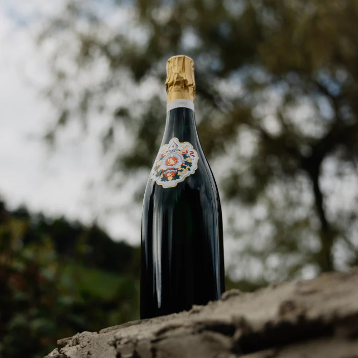 Karthäuserhof Brut, Mosel, Deutschland - Image 4