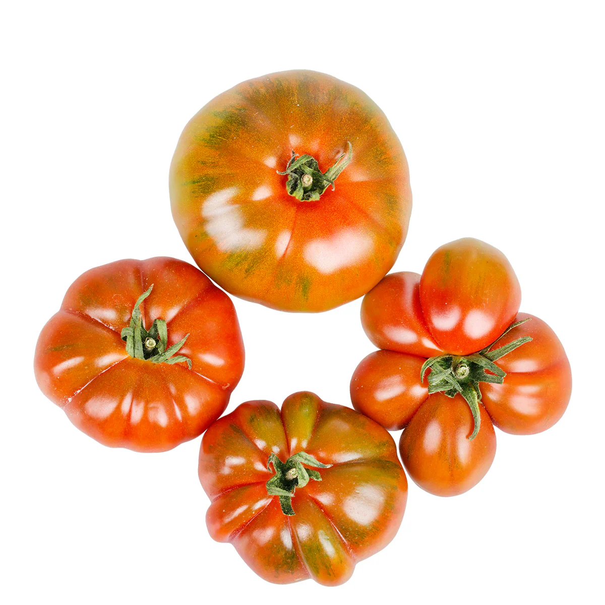 Merinda Tomaten