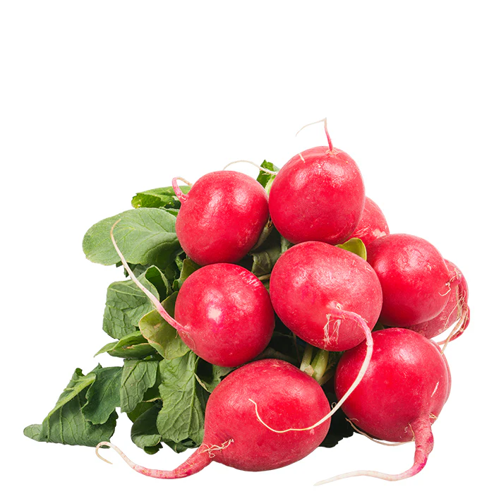Radieschen