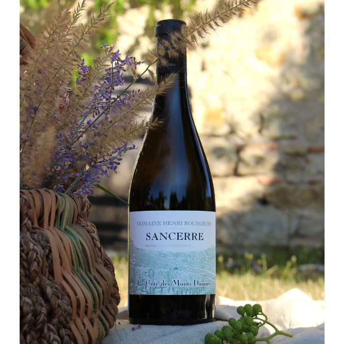 2023 Bio Sancerre Côte des Monts Damnés, Loire, Frankreich - Image 3