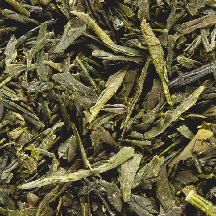 Sencha Fukuyu Tee, Grüner Tee, Teebeutel - Image 3
