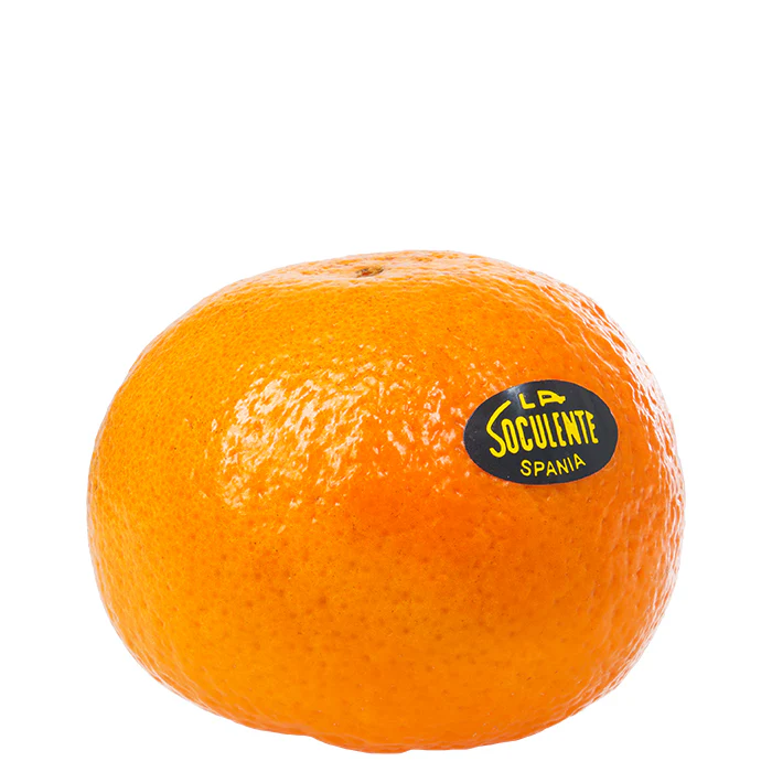 Soculente Clementine