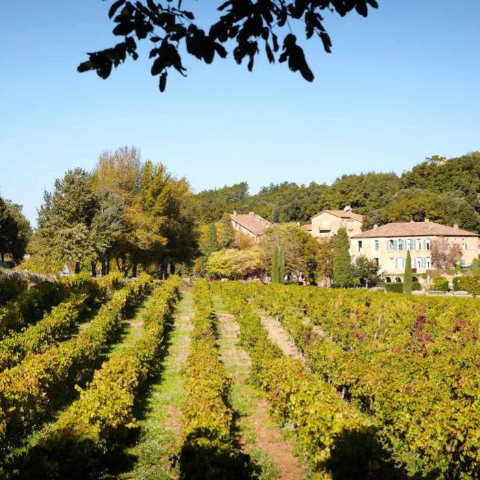 Studio by Miraval Rosé, Provence, Frankreich - Image 4