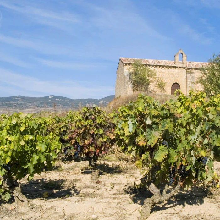 Tarón Blanco, Rioja, Spanien - Image 3
