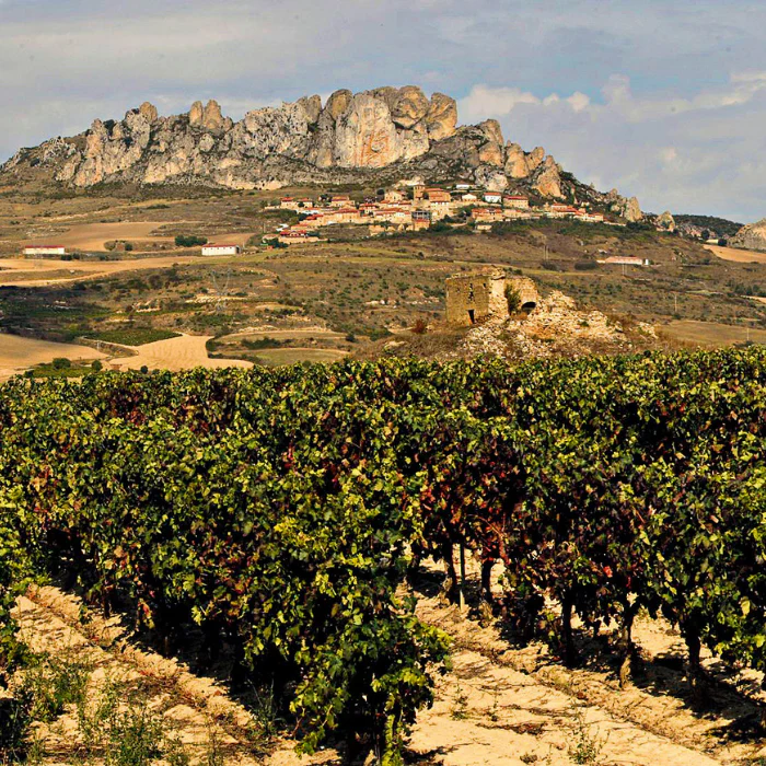 Tarón Blanco, Rioja, Spanien - Image 4