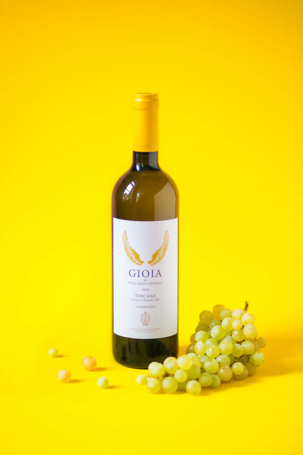 Bio Vermentino Gioia, Toskana, Italien - Image 2